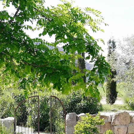 La Tonnelerie, Belle Pour 9 Personnes Au Coeur D'un Vignoble Avec Piscine Sartène