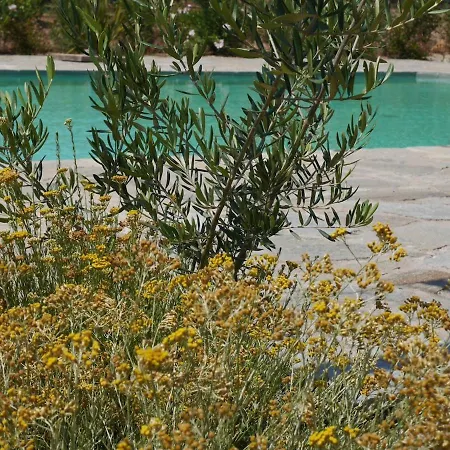 Villa La Tonnelerie, Belle Pour 9 Personnes Au Coeur D'un Vignoble Avec Piscine