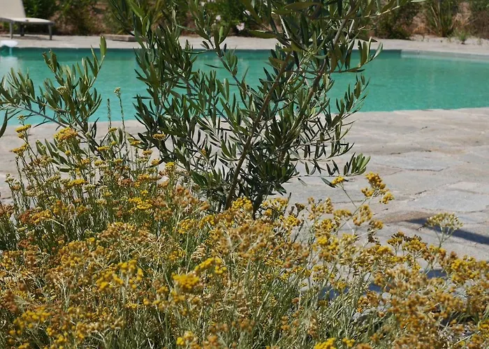 Villa La Tonnelerie, Belle Pour 9 Personnes Au Coeur D'un Vignoble Avec Piscine