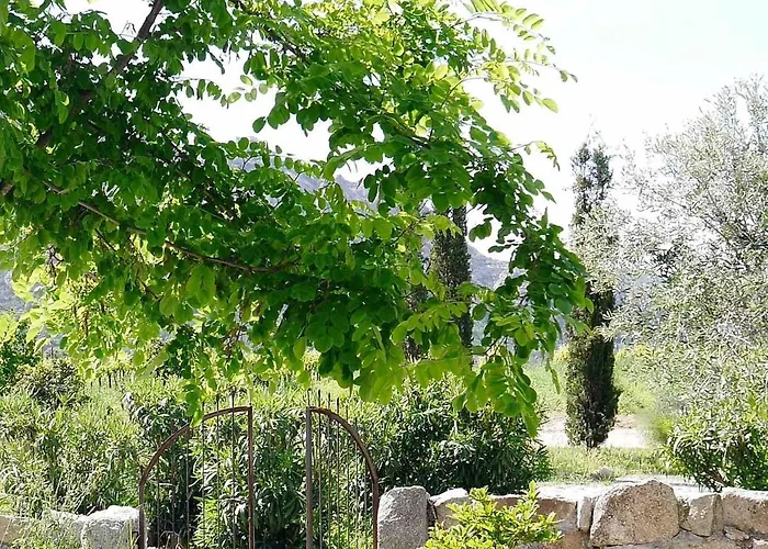 La Tonnelerie, Belle Pour 9 Personnes Au Coeur D'un Vignoble Avec Piscine Sartène