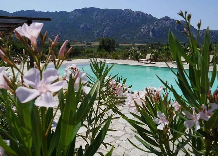 La Tonnelerie, Belle Pour 9 Personnes Au Coeur D'un Vignoble Avec Piscine Villa