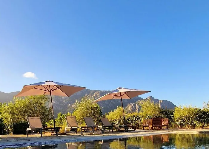 La Tonnelerie, Belle Pour 9 Personnes Au Coeur D'un Vignoble Avec Piscine Sartène