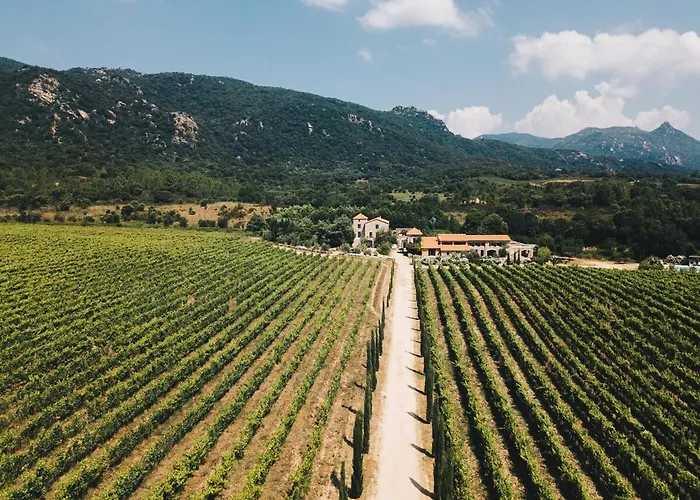 La Tonnelerie, Belle Pour 9 Personnes Au Coeur D'un Vignoble Avec Piscine Villa *